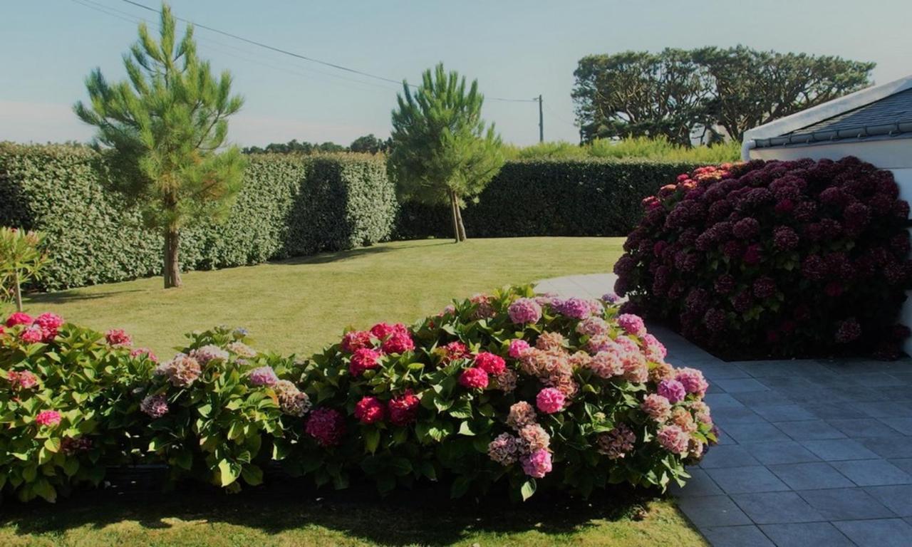 Maison Accueillante A Bangor Avec Jardin Clos Et Cheminee Exteriör bild